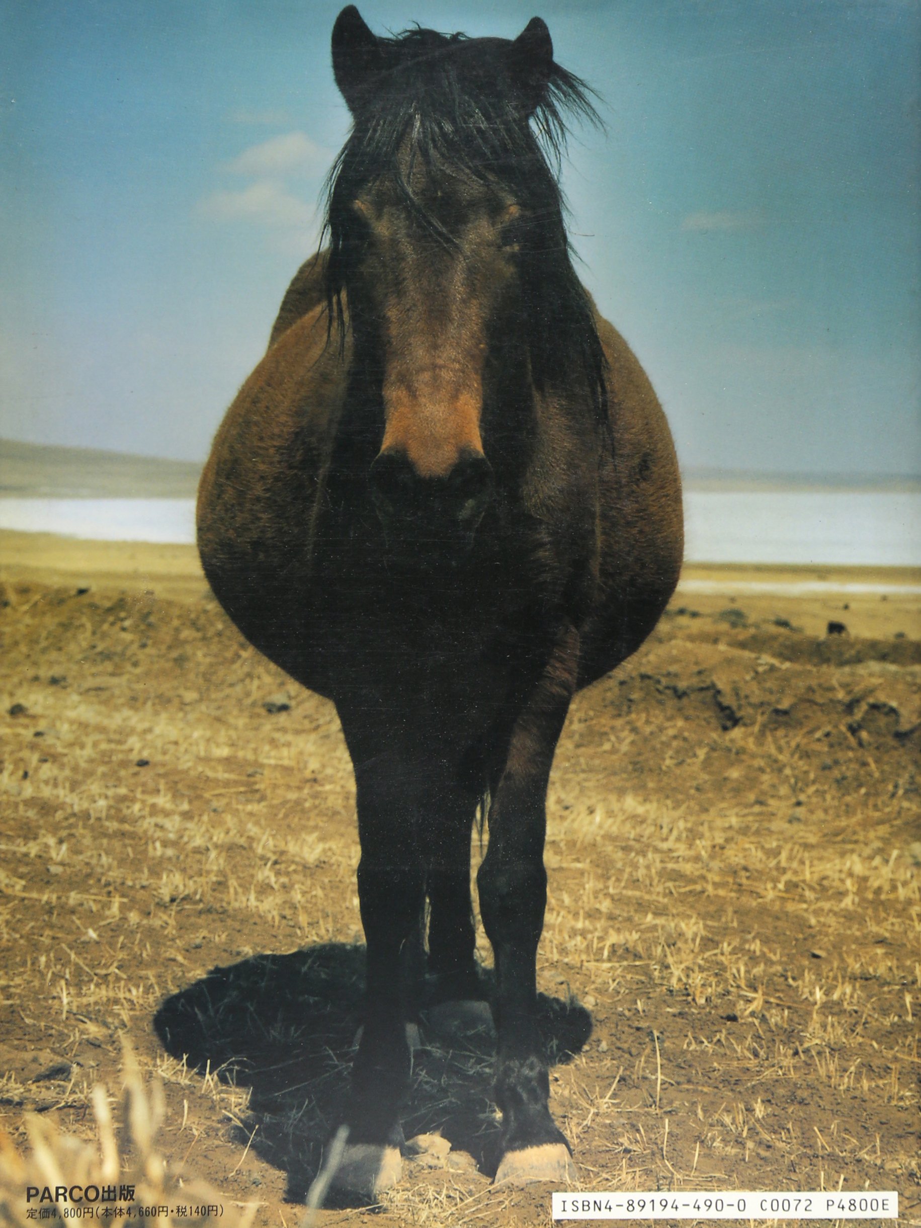 Amazon.co.jp: 斎門 富士男: 本、バイオグラフィー、最新アップデート